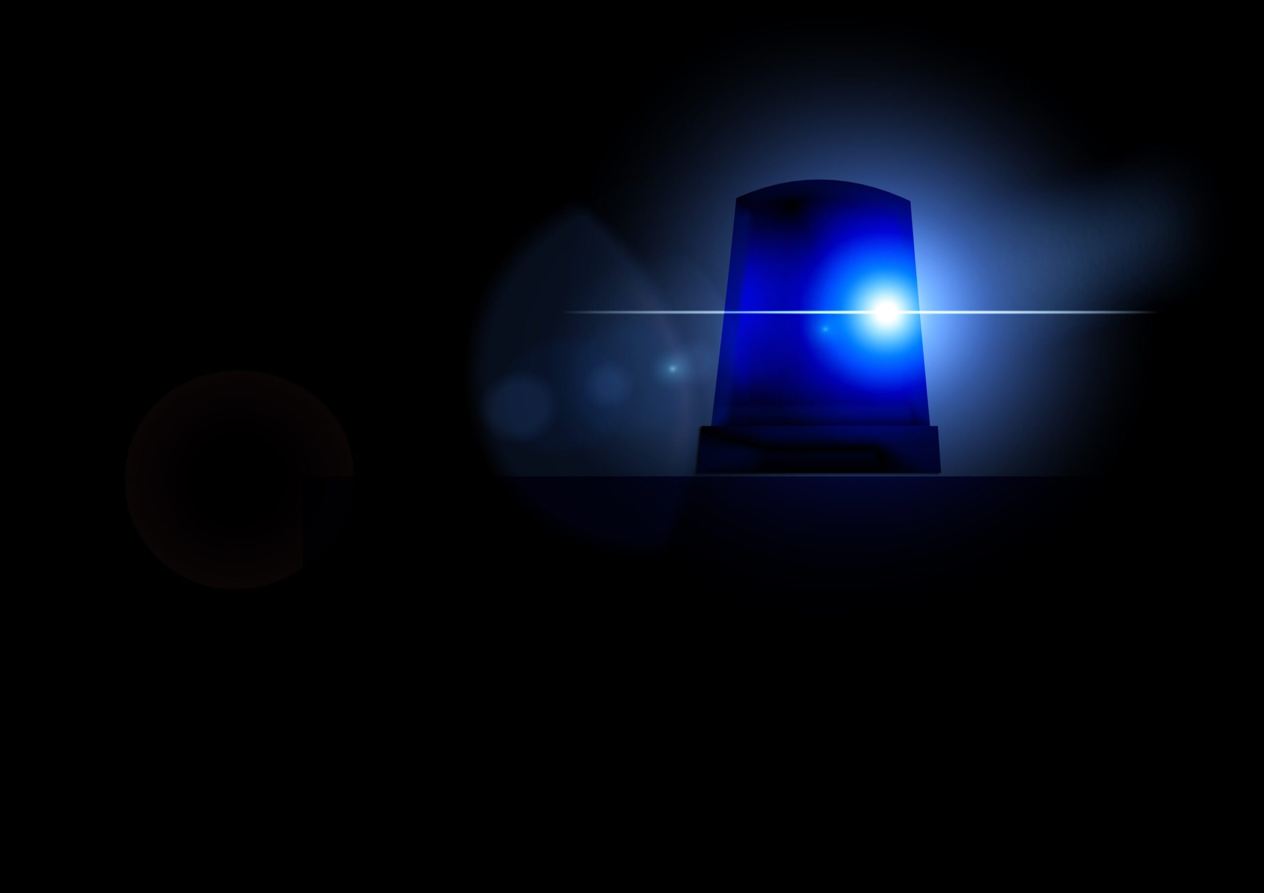 Immagine di Gerd Altmann da Pixabay